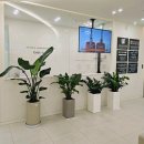 365서울앞선치과의원 이미지