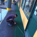 리라초등학교 이미지