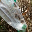 튀김장수 이미지