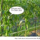 아브라함농장2 이미지