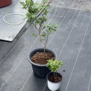 용달농장 이미지