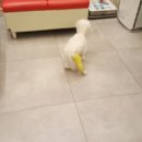 동호동물병원 이미지