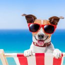 헤아림동물병원 이미지