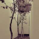 데데아호텔 이미지