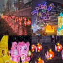 황금게임성 | 2025 청계천 잉어킹 시간 위치 메타몽 황금잉어킹 등 빛초롱축제