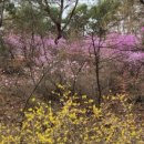 강남박내과의원 이미지