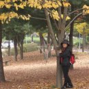 루터대학교 이미지