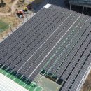 씨제이 태양광발전소 이미지