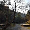 대관령솔내음오토캠핑장 이미지