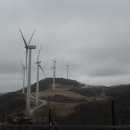 상봉농장 이미지