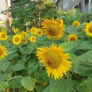 아주1차아파트경로당 이미지