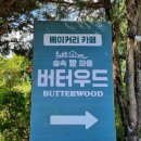 숲속 빵마을 카페 버터우드