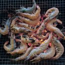 백호좌대 이미지