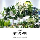 보리수유치원 | 대구 꽃집 칠성시장 화환 생화 화분 다양한 꽃다움