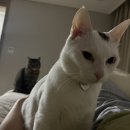 (주)도파민 | [2026_01] 1월 둘째주 일상, 도파민 터지는 주말 🔮🔮