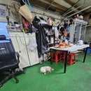 송도호민박 이미지