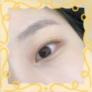 브로우돌 | 의정부 자연스러운 속눈썹 브로우돌 후기