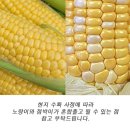 형원농장 이미지