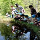 아이숲유치원 이미지