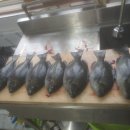 용눈이펜션 이미지