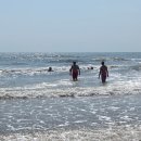 아침에풍경 이미지