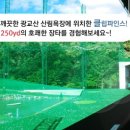 파인스골프연습장 이미지