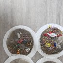 미룡주공1단지 이미지