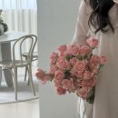 메종드제 | W10. 세미웨딩스냅 ‘메종드뮤어’ 솔직후기👰🏻‍♀️🤵🏻🩵