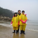 탁이온 카카오 검색결과