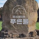 주식회사 더보리 이미지