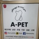 에이펫(A-PET) | 에이펫- 계양구애견카페 계양애견호텔 상주견 많음❤