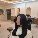 테드헤어 이미지