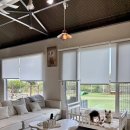 올리버 스테이 이미지