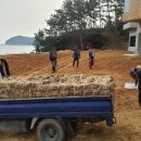 남해조경농원 이미지