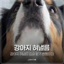 낼름