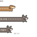 정화송이순두부 이미지
