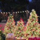 모에누베이커리 이미지