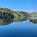 완도수목원 이미지