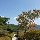 불행에 맞서는 가장 멋진 방법 이미지