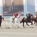 챔프이야기 이미지