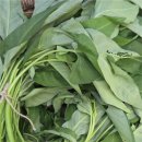 이재숙농장 이미지