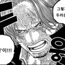호연나무
