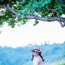 좋은빛목장 이미지