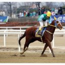 상용목장 이미지