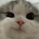 제일특수 | 포항 오천 고깃집 오늘도꿉자 | 특수부위 맛집 아이랑 가기 좋은 가족외식 후기