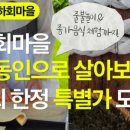 녹두마을 이미지