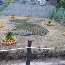 비산5동 행정복지센터 이미지