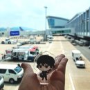 영원클린풀 | 낫싱 보러 일본여행 처음 간 후기 1