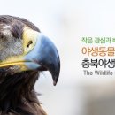 야생동물의료센터 이미지