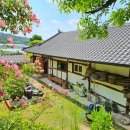 명동K-stay 게스트하우스 | K-컬처 지역 여행! 내 취향대로 골라간다? 촌스러움이 힙함이 된 진짜 이유